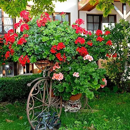 Hotell Riegeler Hof Endingen am Kaiserstuhl
