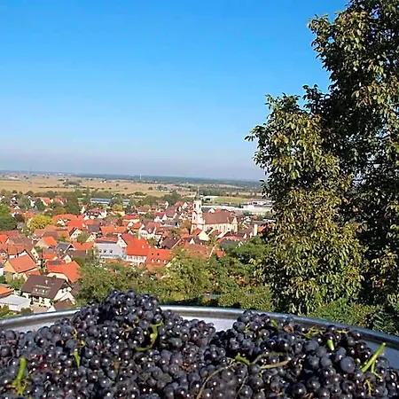 Hotel Riegeler Hof Endingen am Kaiserstuhl
