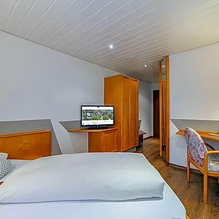 Riegeler Hof 3* Endingen am Kaiserstuhl