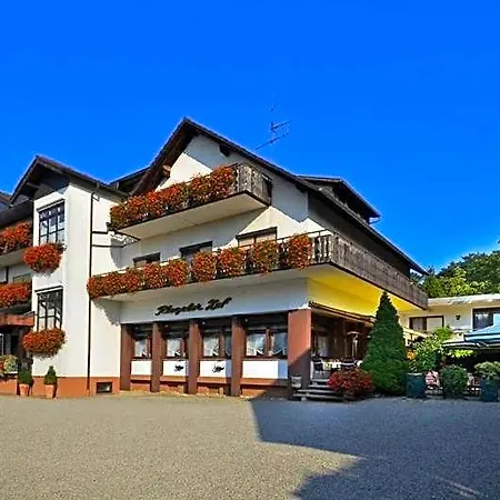 Hotel Riegeler Hof